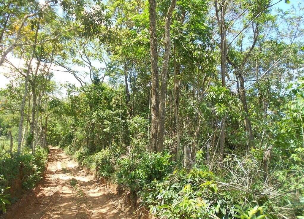 Lote à venda no Santa Rita: 