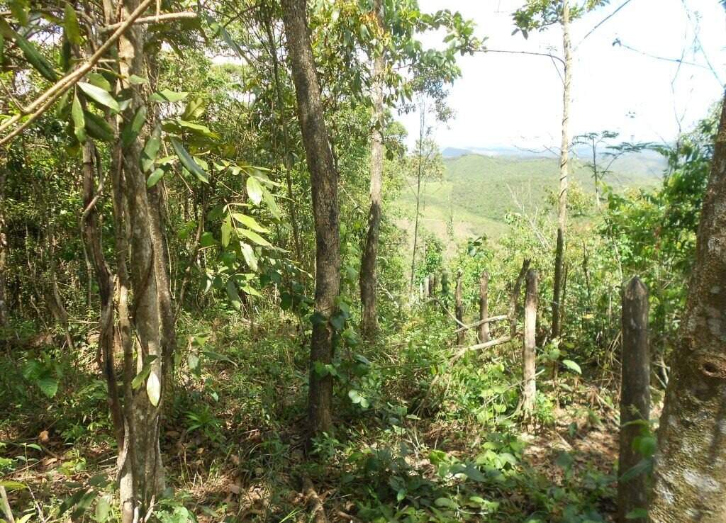 Lote à venda no Santa Rita: 