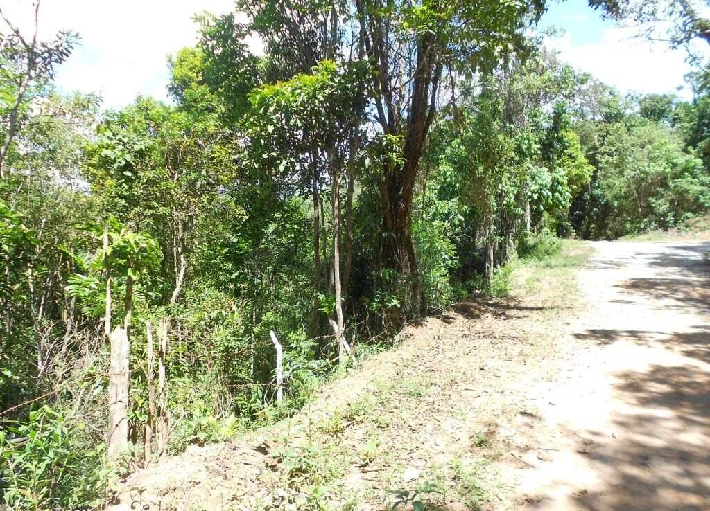 Lote à venda no Santa Rita: 