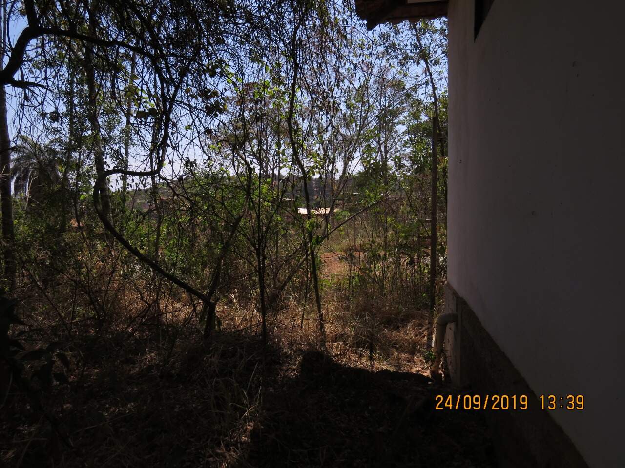Loja à venda no Chapada santo Antônio do leite: 