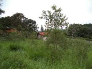 Lote à venda no Não Informado: 