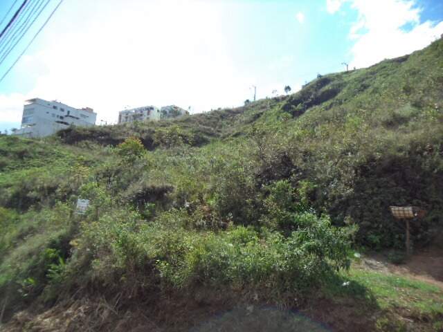 Lote à venda no Lagoa: 