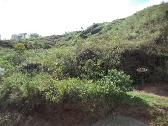 Lote à venda no Lagoa: 