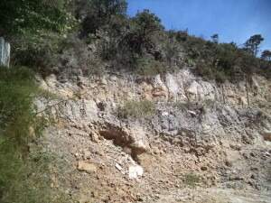 Lote à venda no Nossa Senhora do Carmo: 