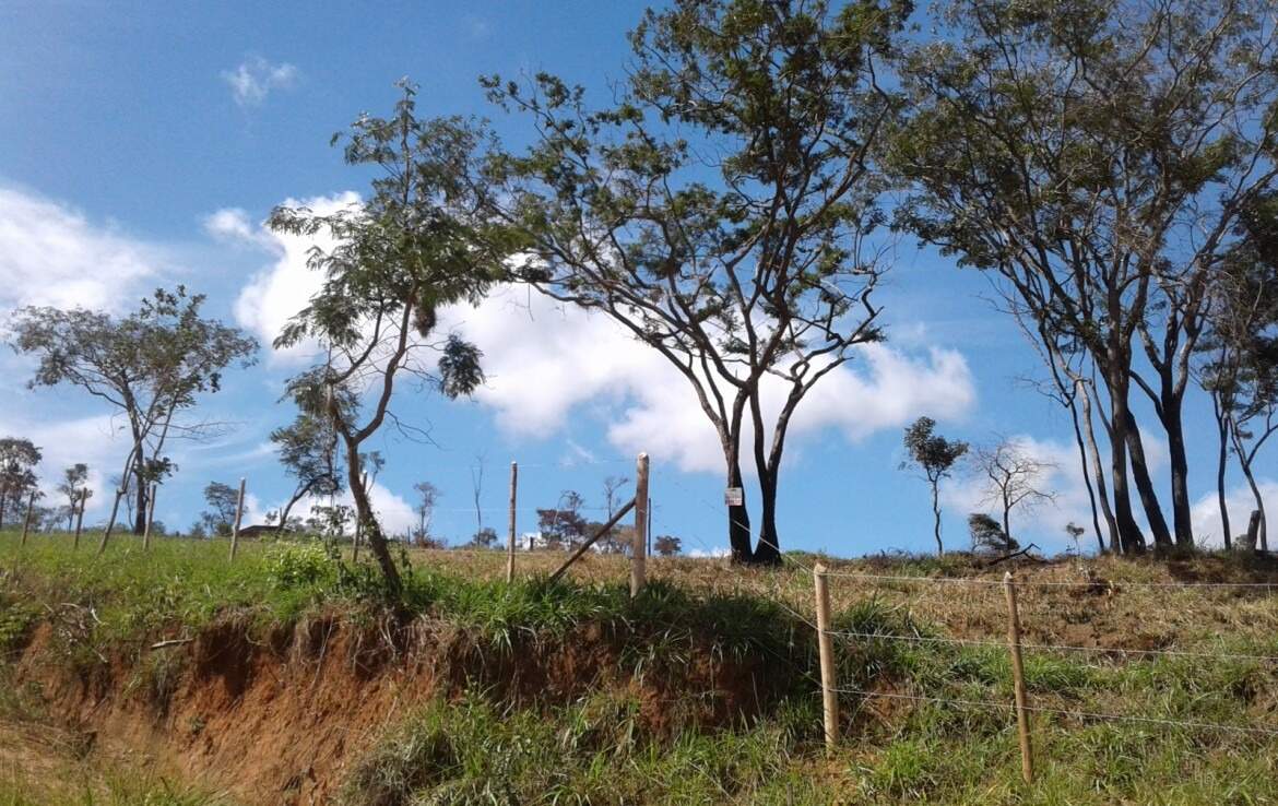 Lote à venda no Residencial Dom Bosco: 