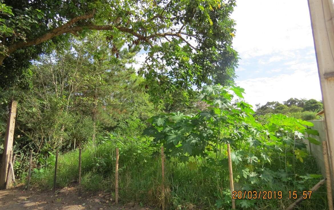 Lote à venda no Centro: 