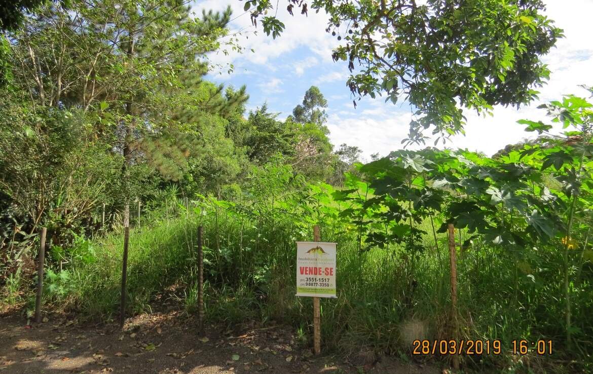 Lote à venda no Centro: 