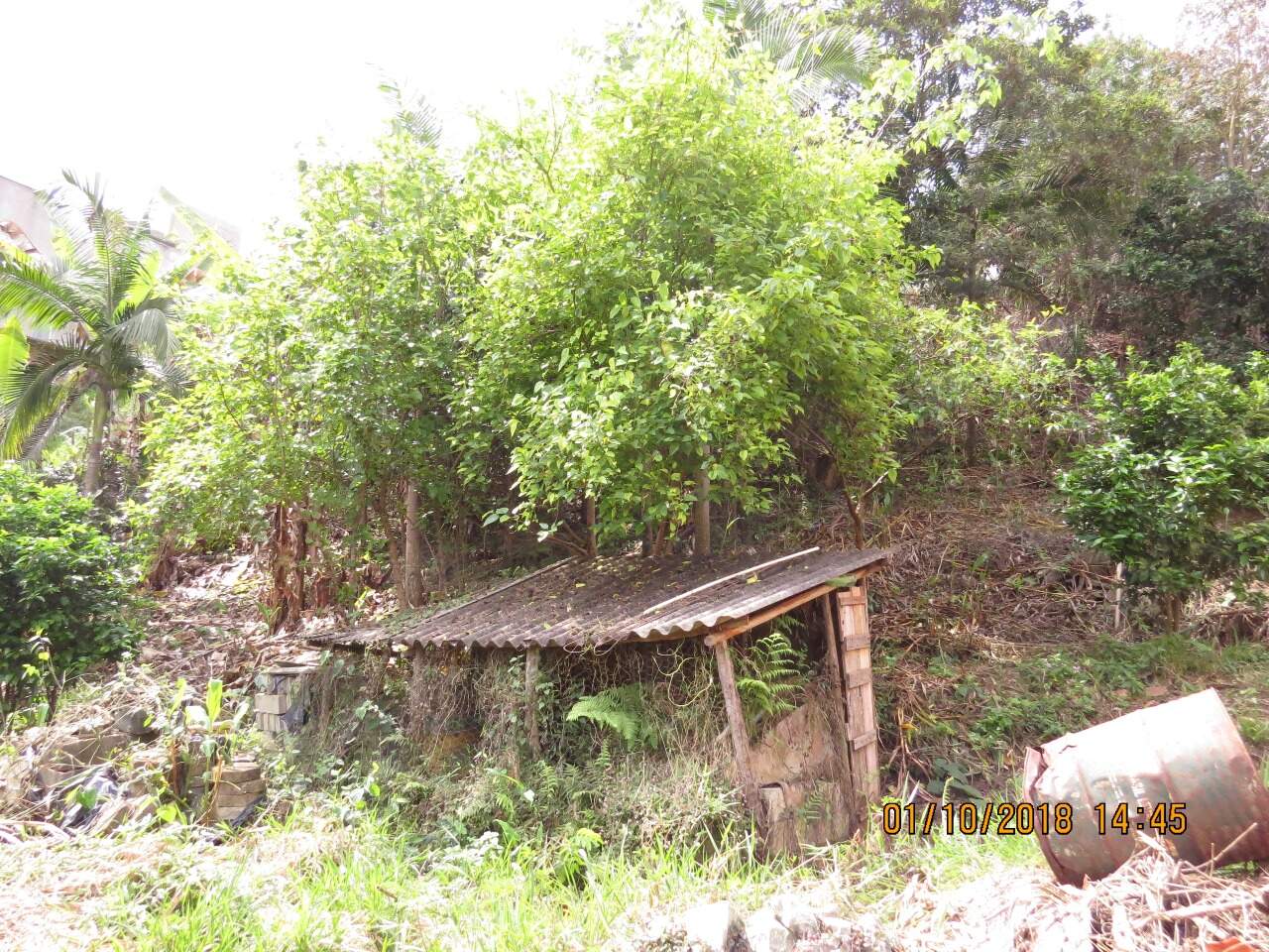 Prédio à venda no Liberdade: 