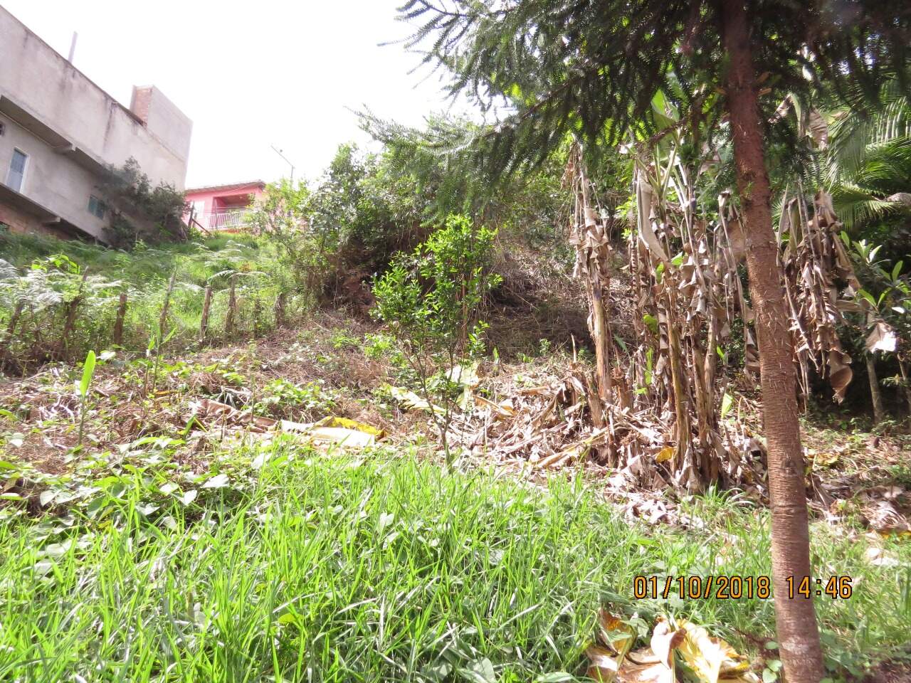 Prédio à venda no Liberdade: 