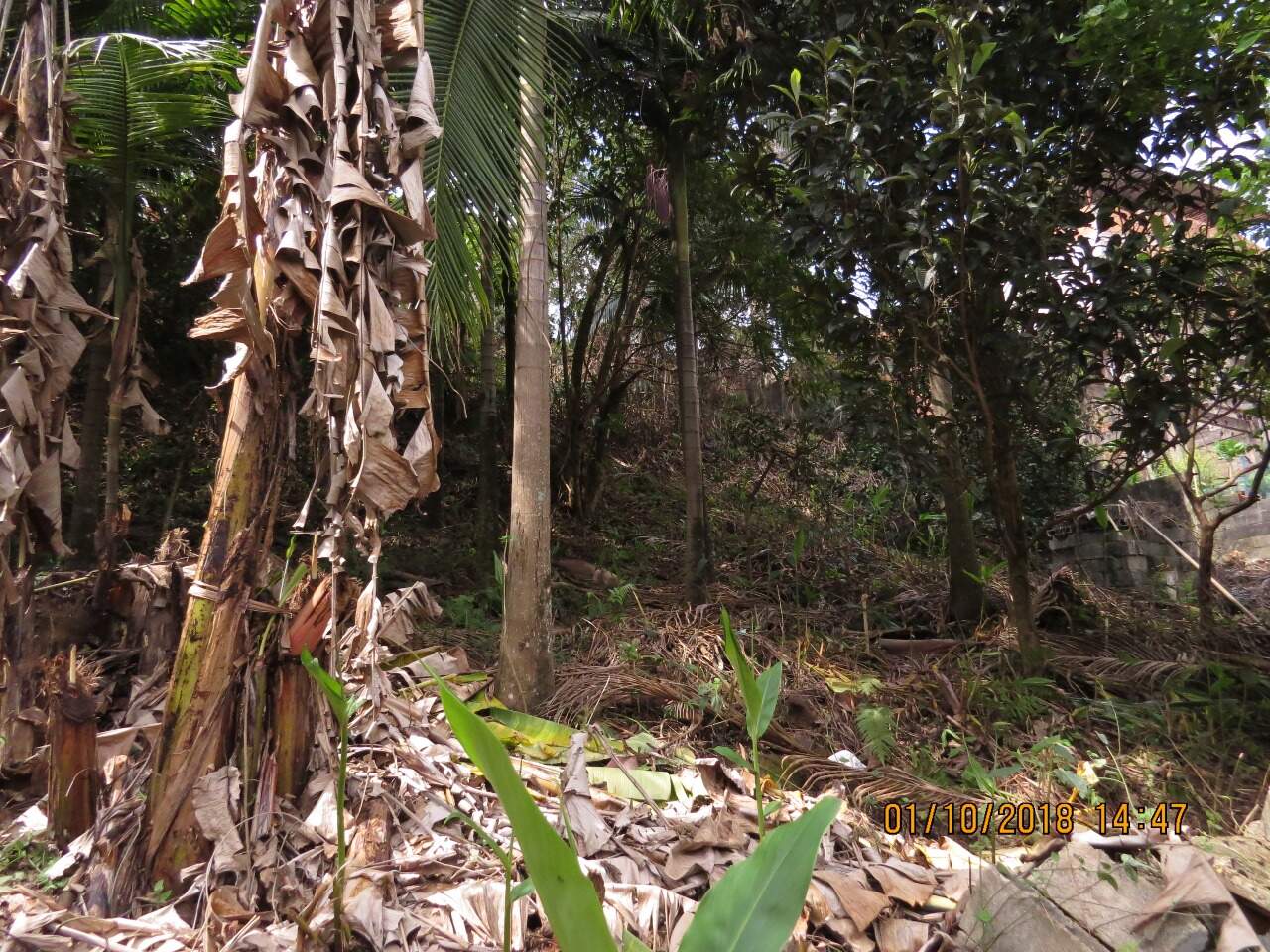 Prédio à venda no Liberdade: 