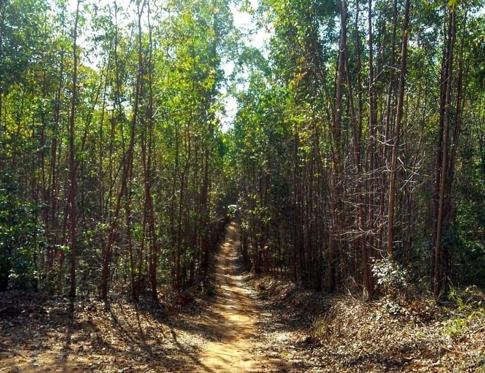 Sítio à venda no Claúdio Manoel: 