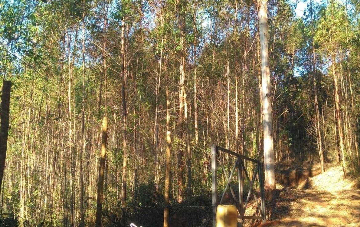 Sítio à venda no Claúdio Manoel: 