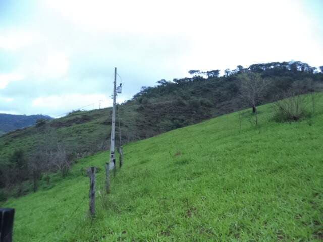 Fazenda à venda no Centro : 