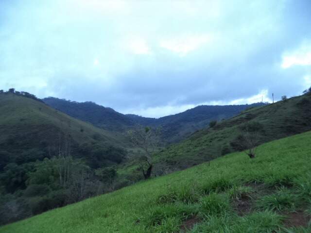Fazenda à venda no Centro : 