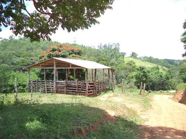 Fazenda à venda no Manja Léguas: 