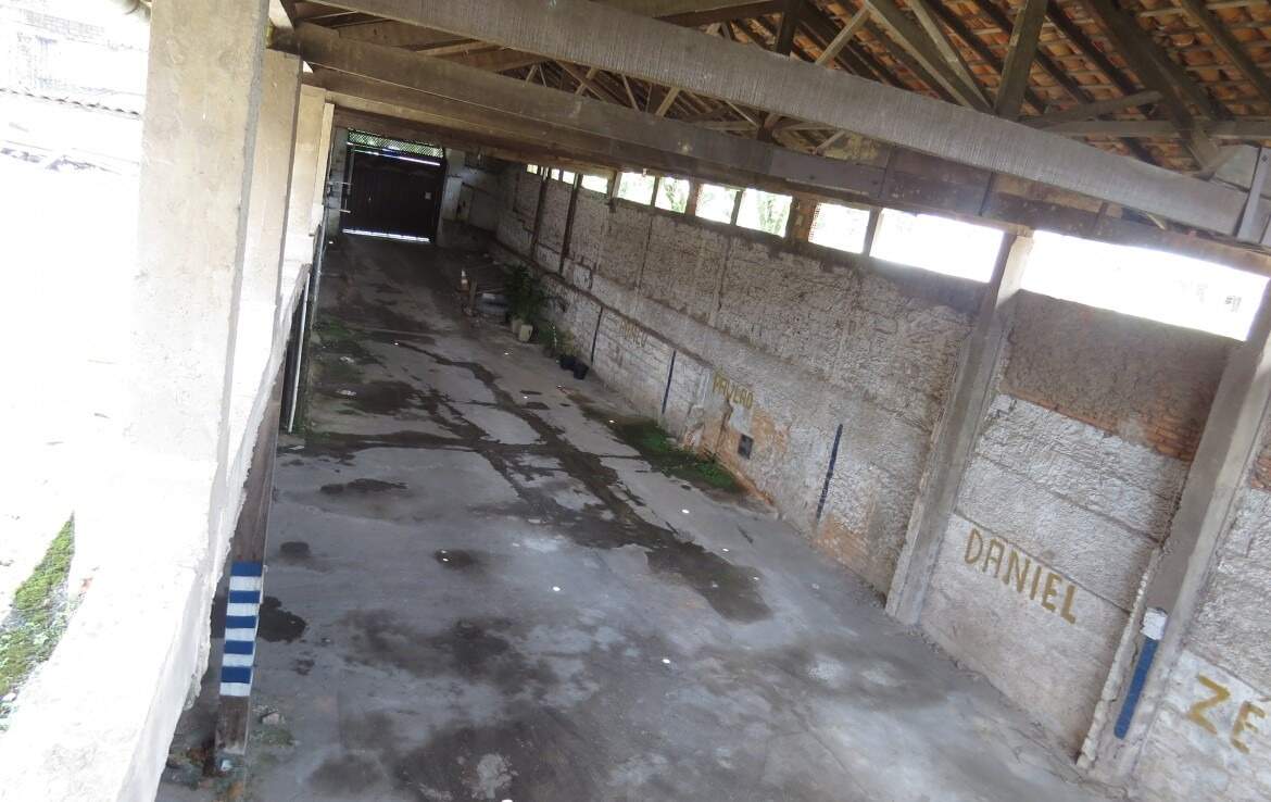 Galpão à venda no Antônio Dias: 