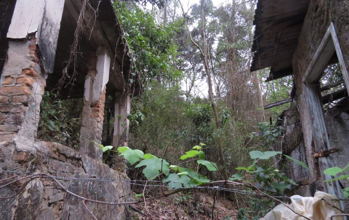 Lote à venda no Antônio Dias: 