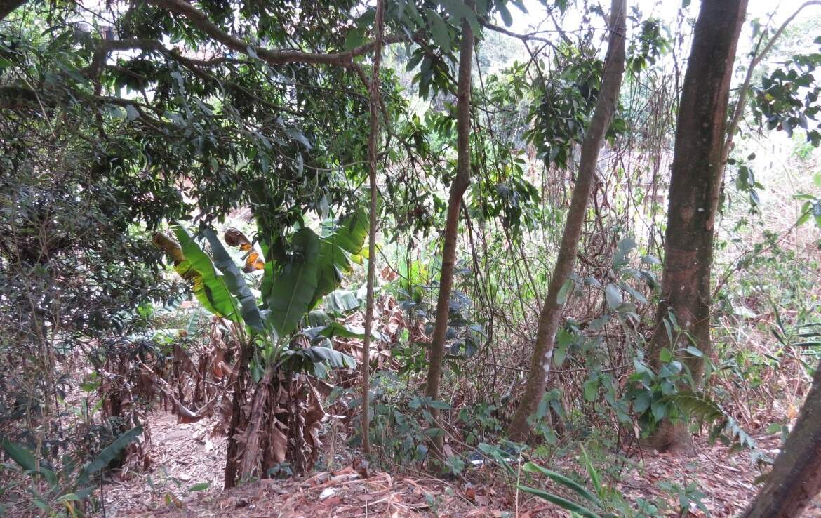 Lote à venda no Antônio Dias: 