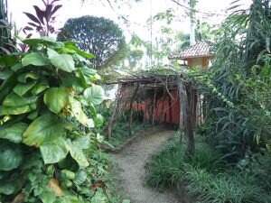 Casa à venda no Chapada santo Antônio do leite: 
