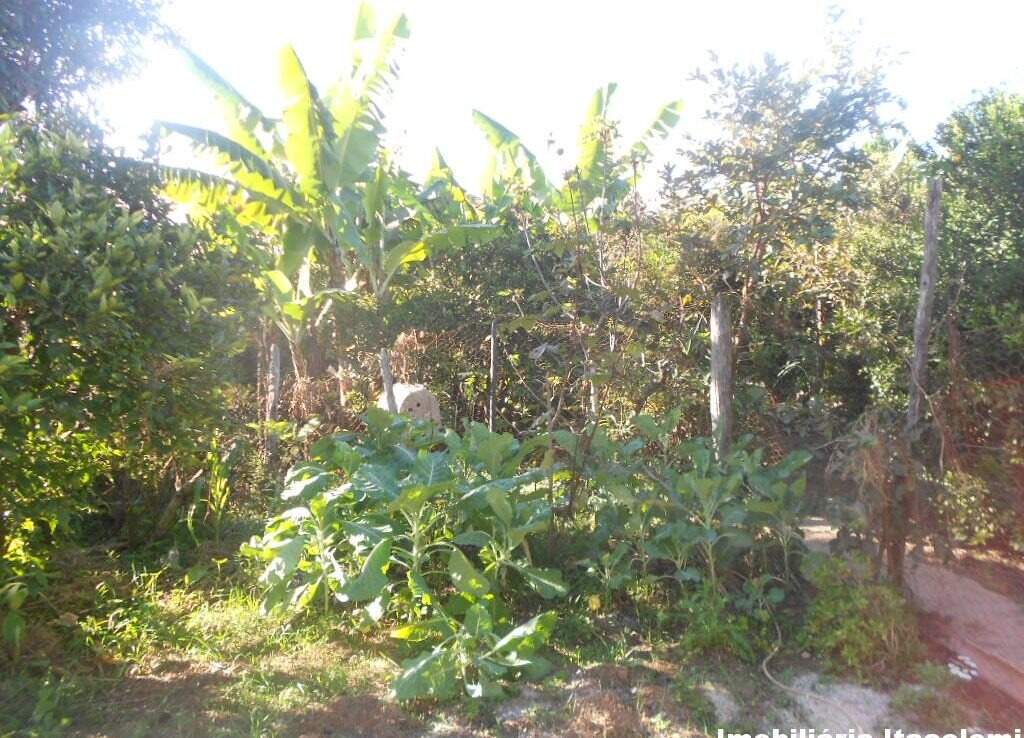 Casa à venda no Vila Alegre: 