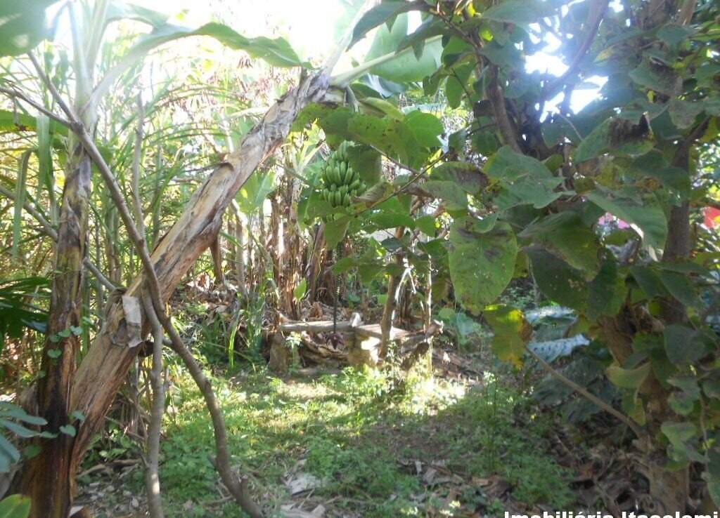 Casa à venda no Vila Alegre: 