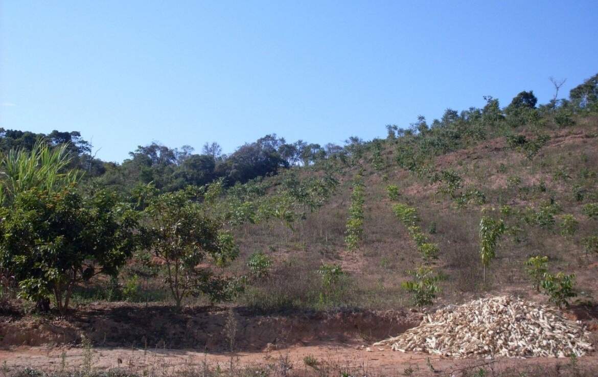 Sítio à venda no Santa Rita: 