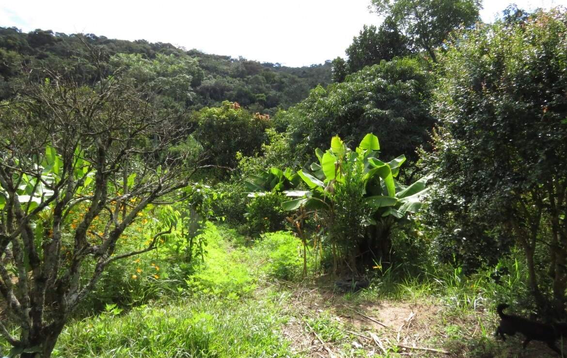 Chácara à venda no Amarantina: 