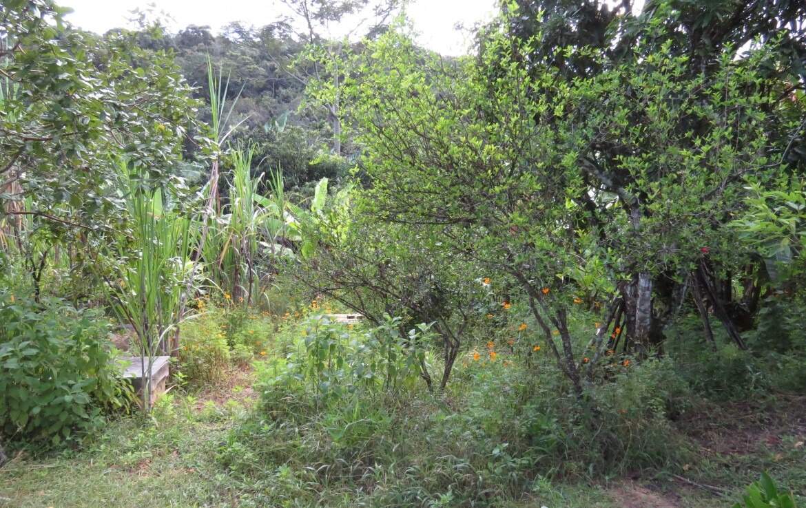 Chácara à venda no Amarantina: 