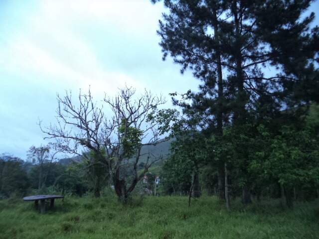 Chácara à venda no Centro : 