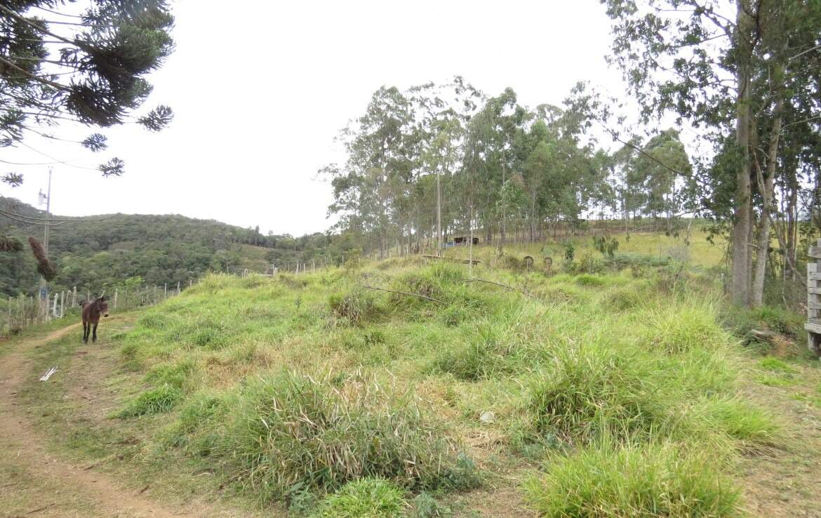 Fazenda à venda no Macacos: 