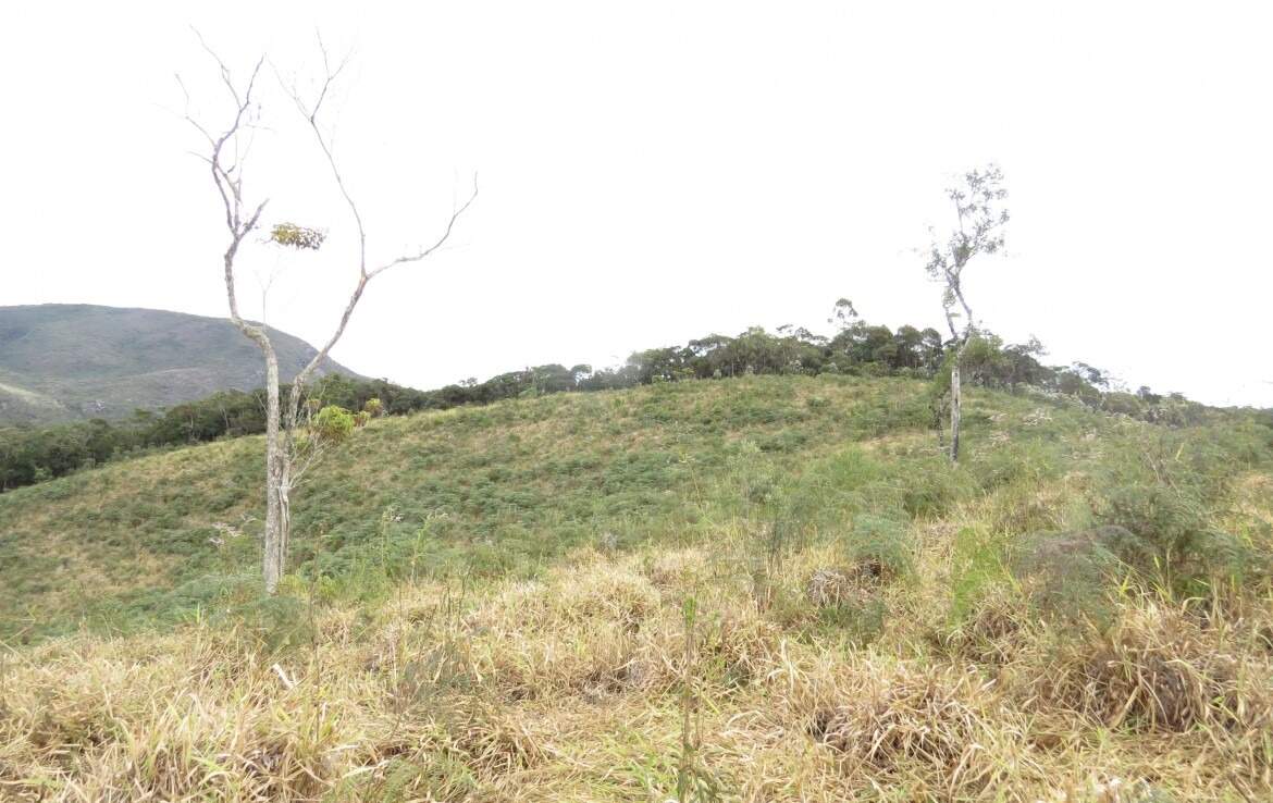 Fazenda à venda no Macacos: 