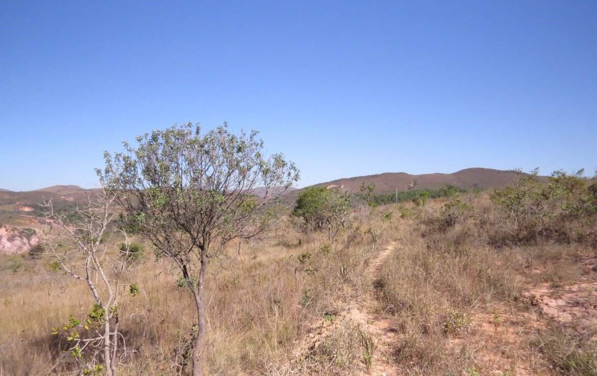 Lote à venda no SANTO ANTONIO DO LEITE: 