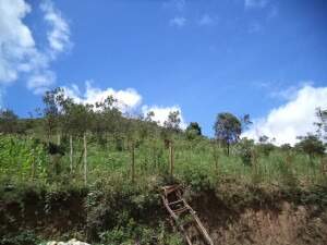 Chácara à venda no Bairro Nossa Senhora do Carmo: 