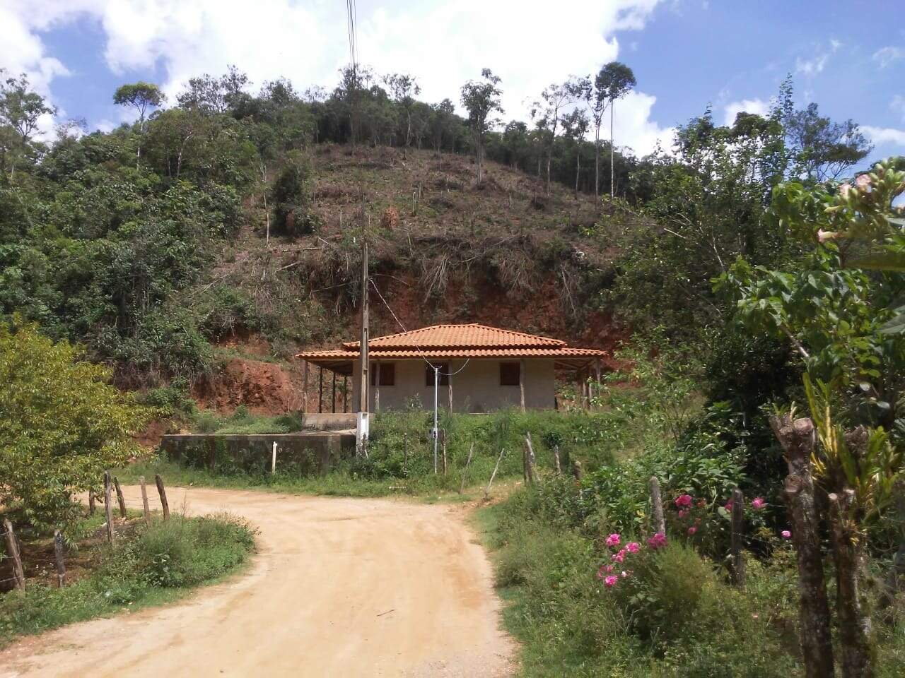 Sítio à venda no distrito de Santa Rita: 