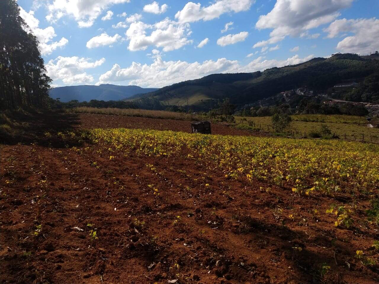 Chácara à venda no Centro: 