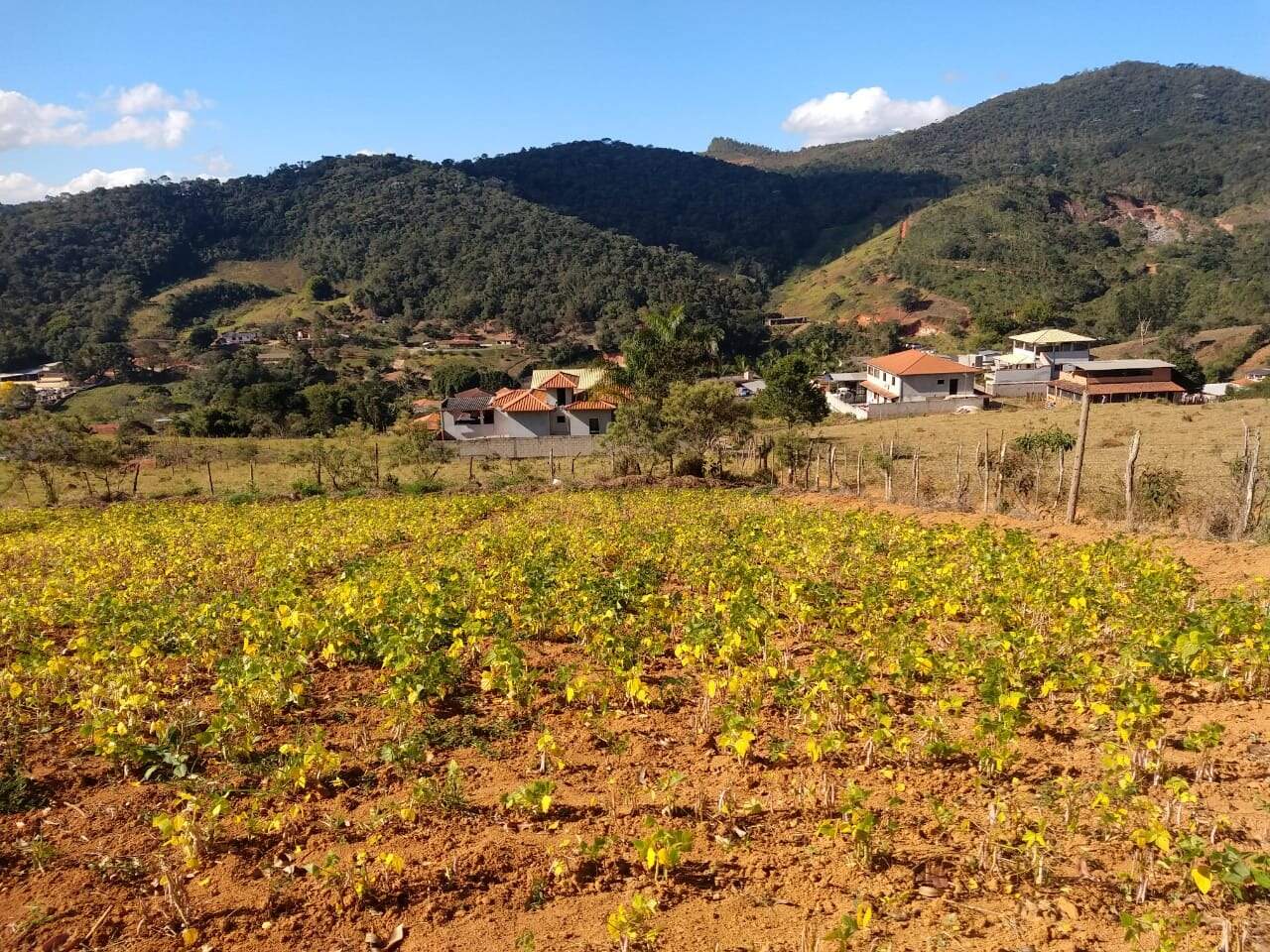 Chácara à venda no Centro: 