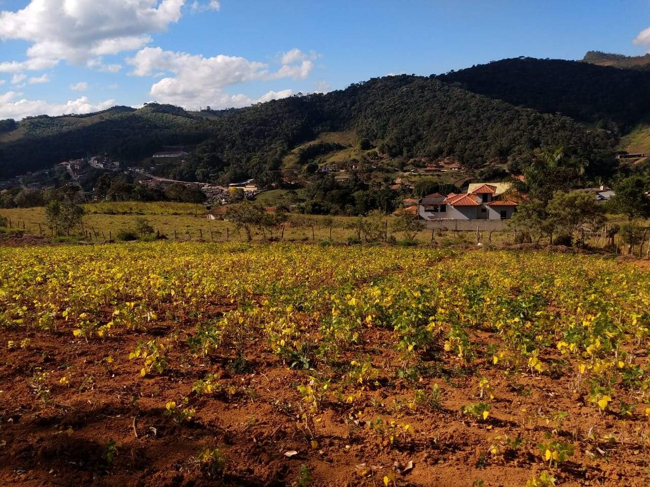 Chácara à venda no Centro: 