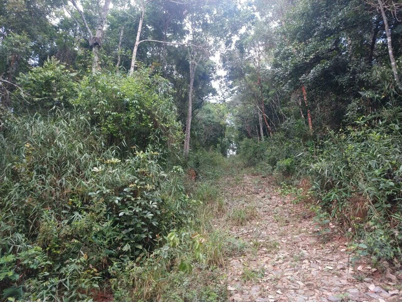 Lote à venda no Acuruí: 