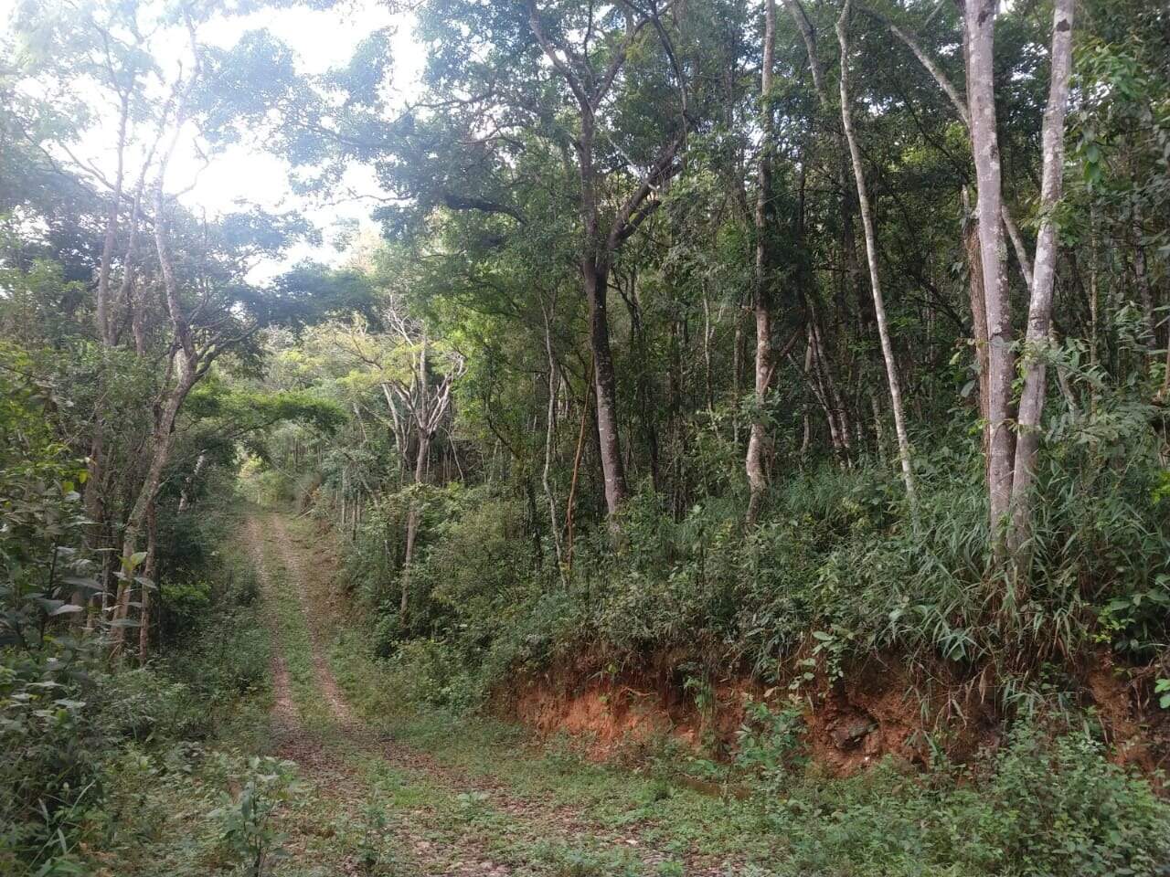 Lote à venda no Acuruí: 