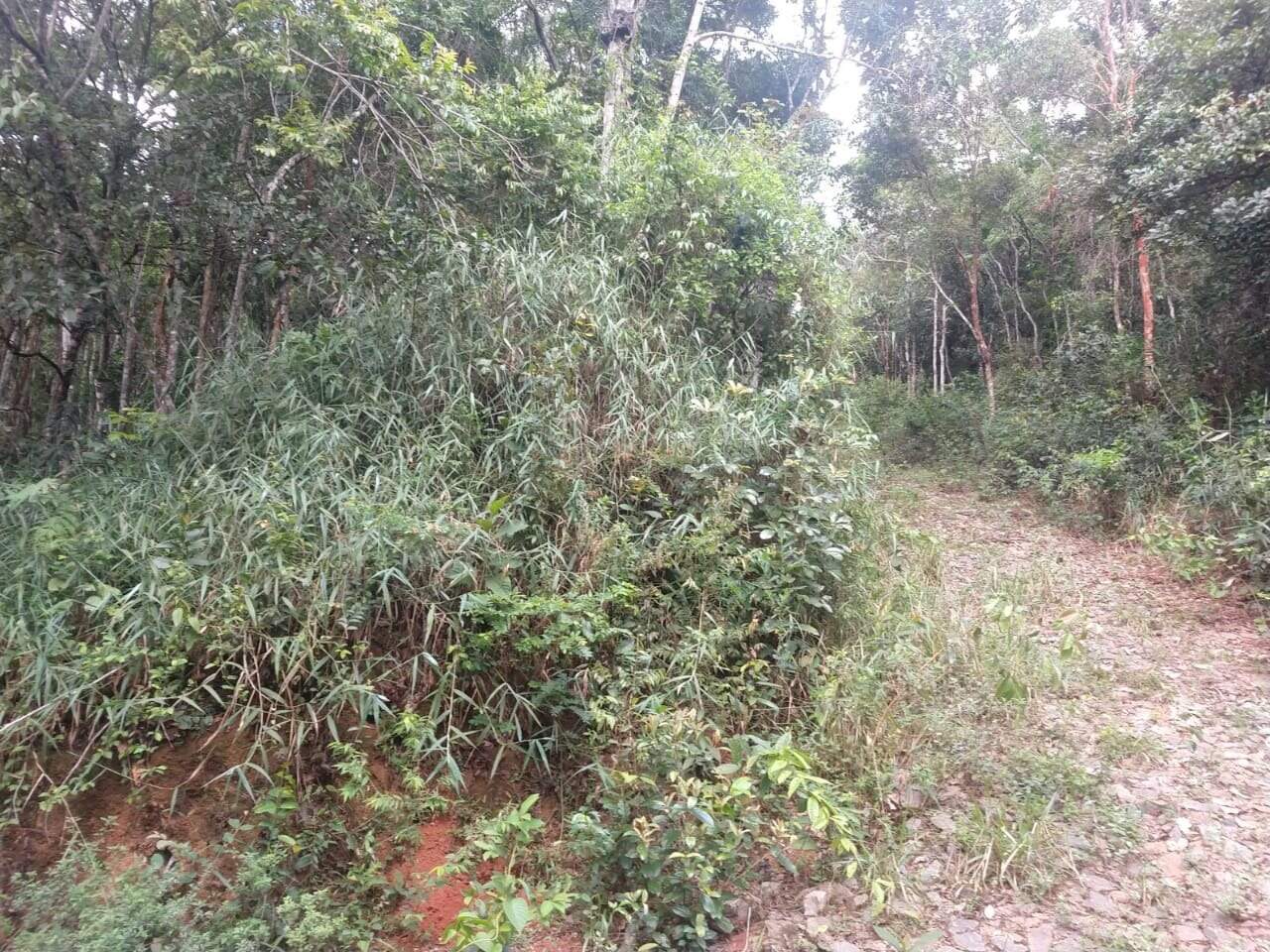 Lote à venda no Acuruí: 