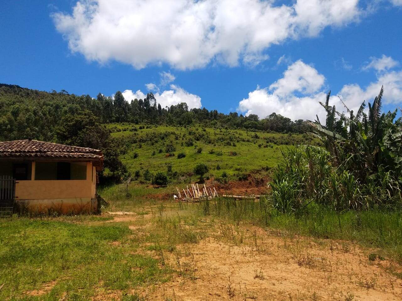 Fazenda à venda no Piedade: 