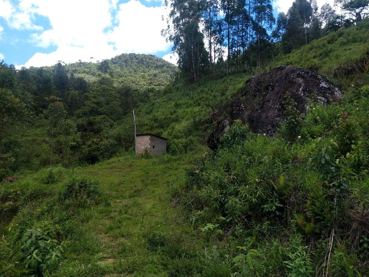 Fazenda à venda no Piedade: 