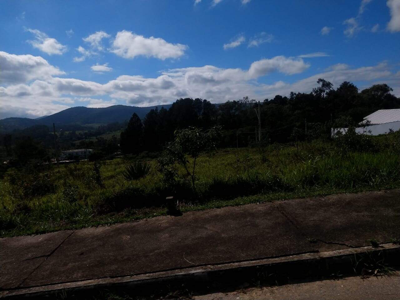 Lote à venda no Vila Alegre: 