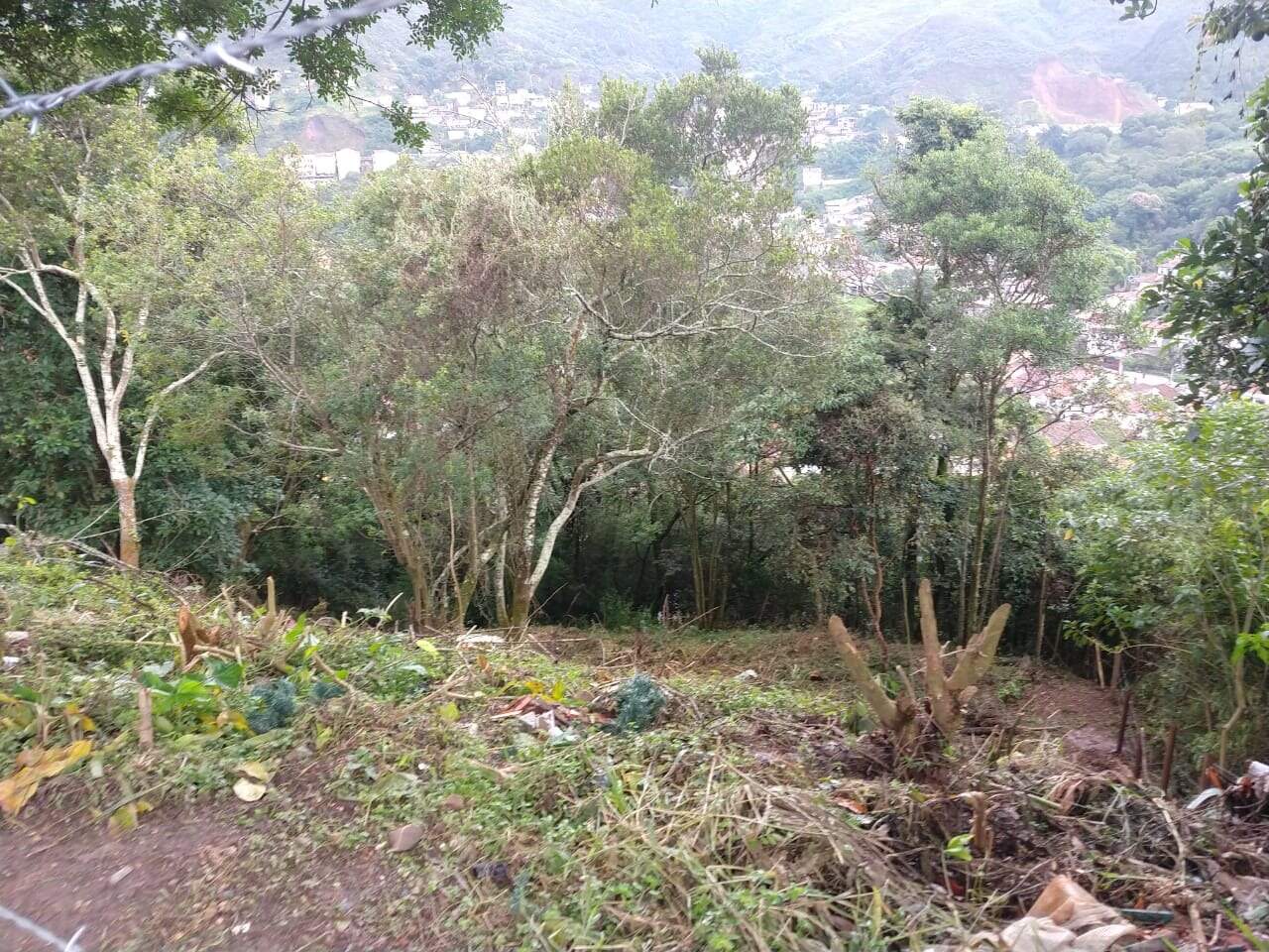 Lote à venda no Jardim Alvorada: 