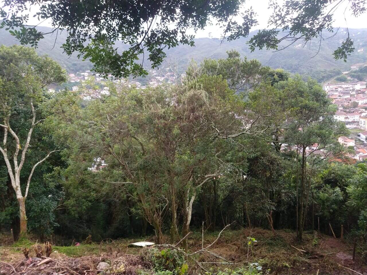 Lote à venda no Jardim Alvorada: 