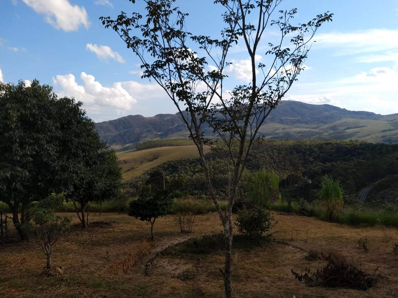 Chácara à venda no Chapada: 