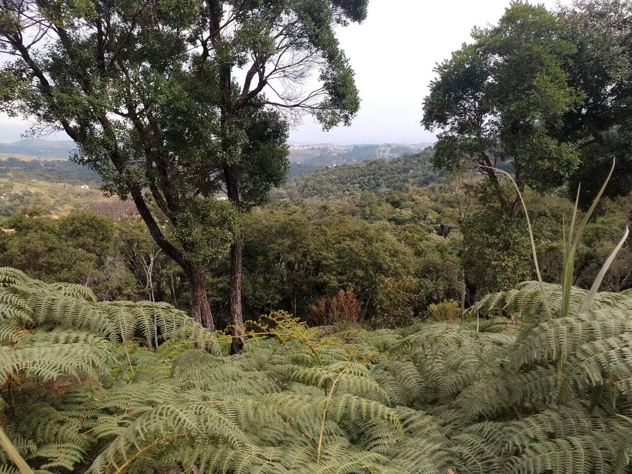 Lote à venda no Residencial Dom Bosco: 