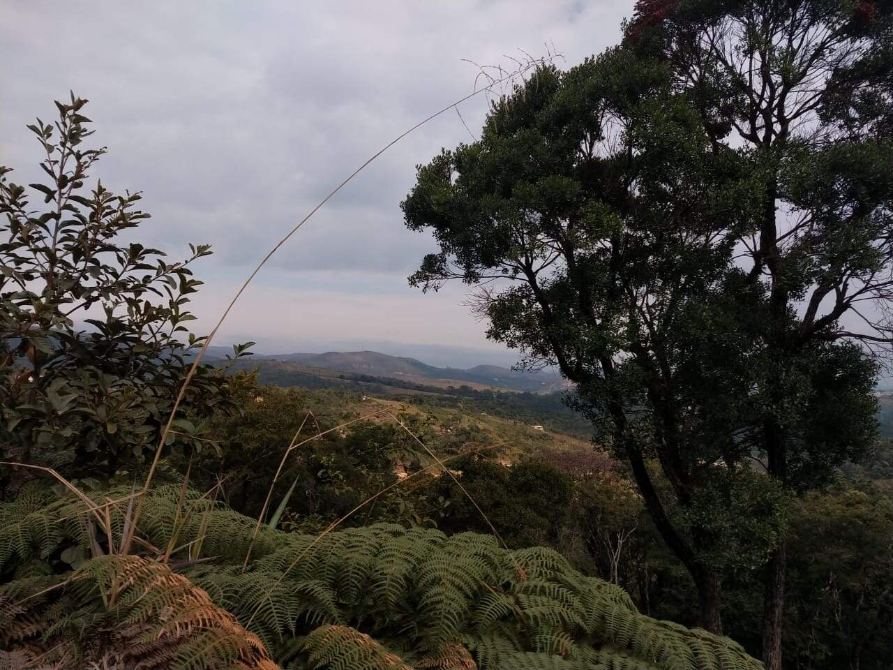 Lote à venda no Residencial Dom Bosco: 