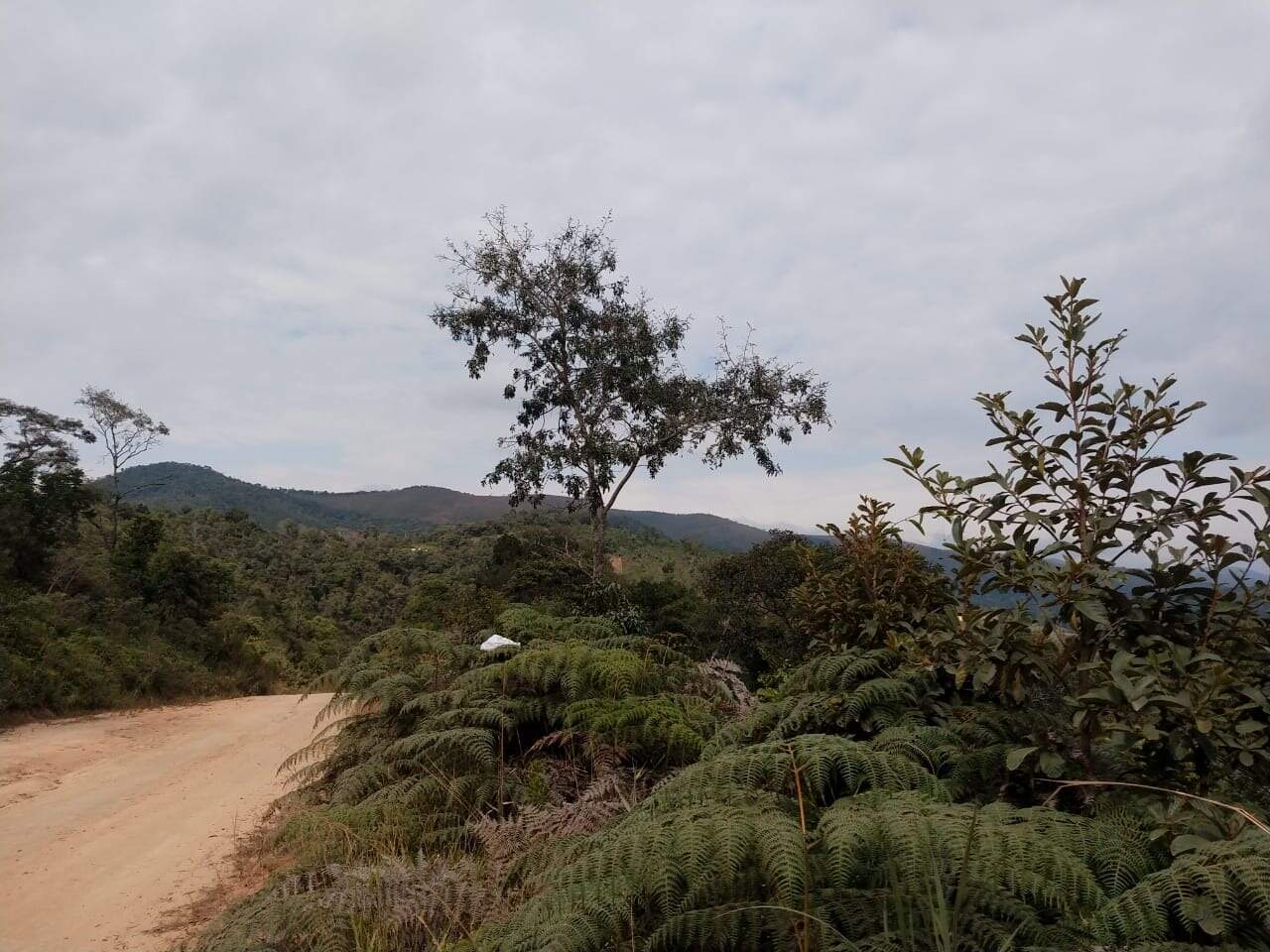 Lote à venda no Residencial Dom Bosco: 