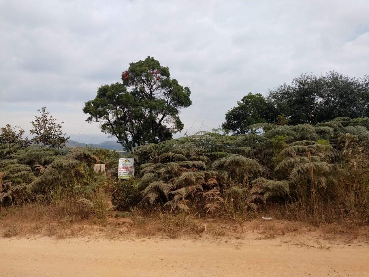 Lote à venda no Residencial Dom Bosco: 